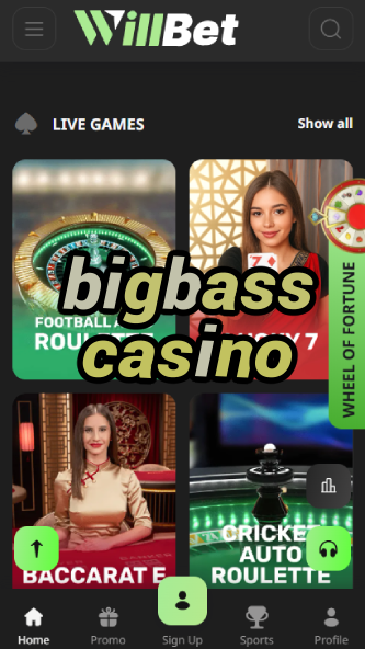 Bigbass Casino - Fishing-Themed Slots-www.bdqngd.com